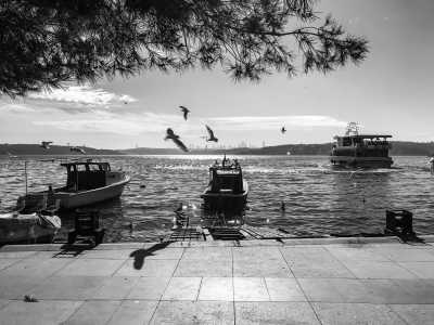 Türkei - Beykoz - Istanbul Shopping Spree, Hidden Gems and Culinary Adventure in Turkey