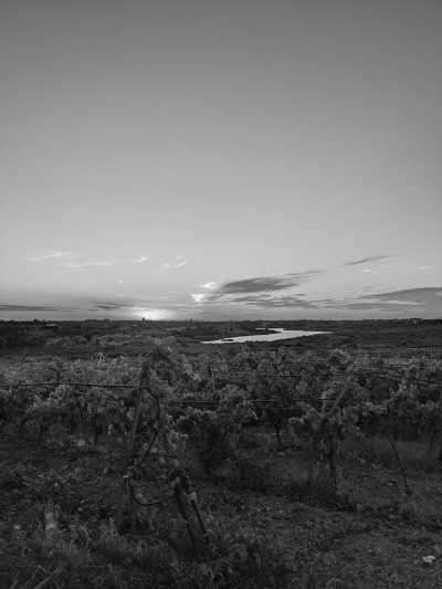 Italy - Mazara del Vallo - Explore the West Coast of Sicily | Gastronomy & Rural Regeneration with a Local - 13