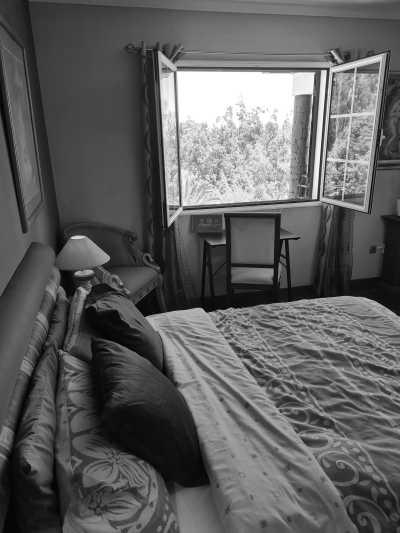 Portugal - Madeira Islands - Single Room: 2 Wochen CoLiving & CoWorking im Paradies Madeira: Workspace + Highspeed Internet - 12