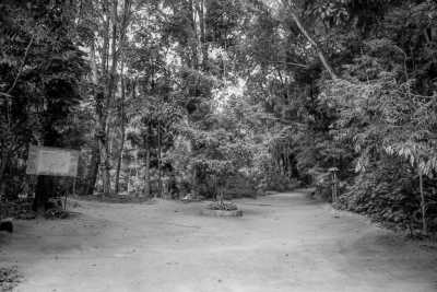 Sri Lanka - Kandy - Explore Sri Lanka for 5 Days: Kandy and Down South - 9