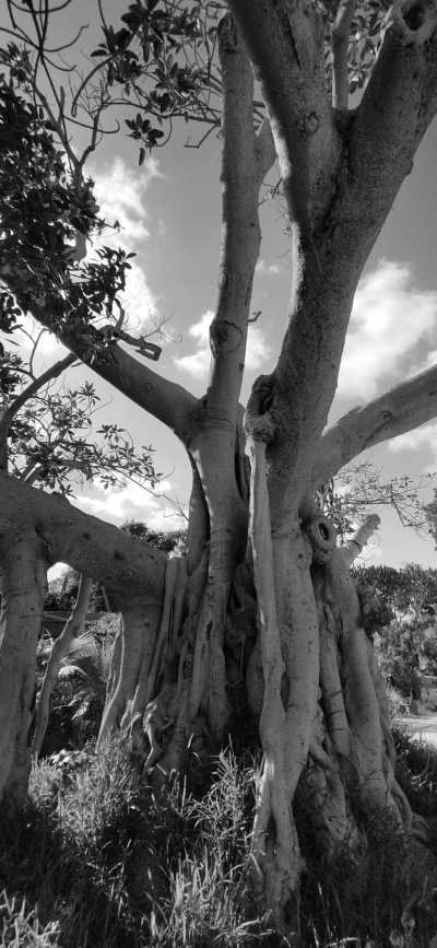 Malta - Valletta - Explore Malta: The Hidden Gem on the Mediterranean - 5