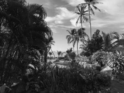 Thailand - Koh Samui - Koh Samui 🌞 HomeOffice in Thai Paradise - 7