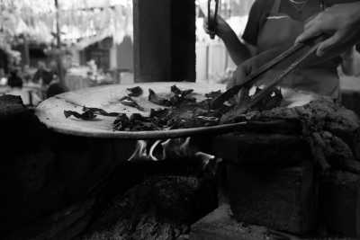 Mexiko - Matadamas - All Inclusive Oaxaca, Mexico Culture & Cuisine Retreat 🌵🌮 - 5