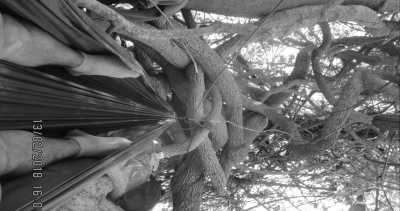 Westafrica - Gambia - Abenteuerreise nach Afrika - Gambia 😊 - 13