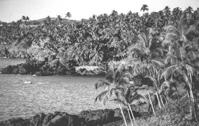 Indien - Arpora - A week of Summer Lovin' in Goa: Exploring the Best of India's Beach Paradise - 3