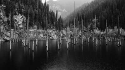 Asia - Kaindy Lake - Central Asia along the Old & New Silk Road in 2026 -Travel with a local in Kazakhstan, see the small "Grand Canyon", stay in a yurt and "cross over" to China - 1