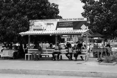 Southern Africa - Maun - Botswana Explorer - Entdecke Botswana's Natur und Tierwelt im 4x4 - 1