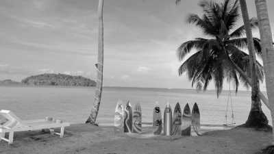 Cambodia - King Island - Natural Cambodia - 🐾 a trip that no one has ever taken ⚡ (Angkor temples, capital, jungles and relax at the Island are included!) - 6