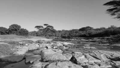 Kenya - Masai Mara National Reserve - Exploring an Epic Safari Nature Reserve: Maasai Mara National Reserve, Kenya - 7