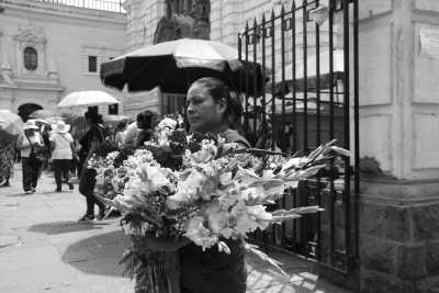 Peru - Lima - LIMA - CoWork Program 2 Weeks -  Food Capital of Southamerica -  Local tours and Experiences Included - 5