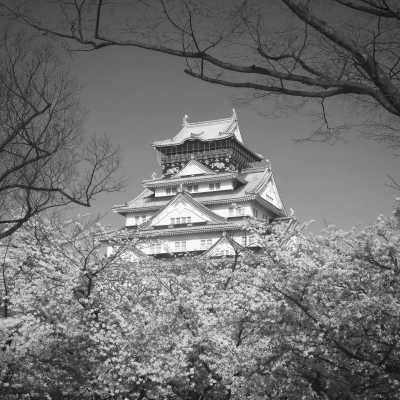 Japan - Osaka - 🌸 April Japan Trip: Osaka-Kyoto-Nagoya-Fuji-Tokyo 🎉 - 1