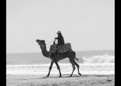 Marokko - Tamraght - Women's (Beginner) SURF RETREAT in Sunny Morocco - 13