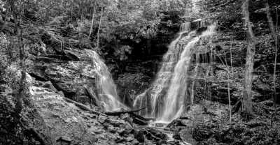 Vereinigte Staaten - Soco Falls - 🍝 All-inclusive Luxury Smoky Mountain Cabin Escape (PRIVATE ROOM) 🏔