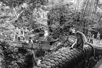 Indonesien - Uma Cekingan - 7 days in Bali Exploring Nature & Culture on an Island Paradise 🌊 - 3