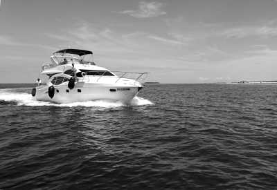 Saudi Arabia - Jeddah - Visit Saudi Arabia with a local 🏜️ Explore Arabian Nights ✨ - camel rides, dune buggies & more - 4