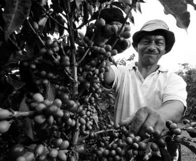 Colombia - Guatapé - Enjoy Medellin "City of Eternal Spring", Colombia ⛰️: Cool off in a clear river,  Immerse yourself in the Colorful Paisa Culture and Delight Yourself with the Best Coffee ☕ and a Crispy Chicharrón 🐽! - 21