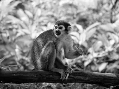 Mexico - AKUMAL NATURA GLAMPING - Tulum, Mexico Escape: Unforgettable 5-Day Adventure in the Jungle, Night Cave Explorations, Sky-High Dining, and More