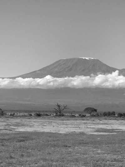 Kenia - Amboseli National Park - Kenyan Wonders Safari: All inclusive Maasai Mara, Lake Nakuru, Amboseli and Nairobi Adventure - 4