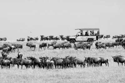 Tansania - Tanzania: following the great migration - JoinMyTrip