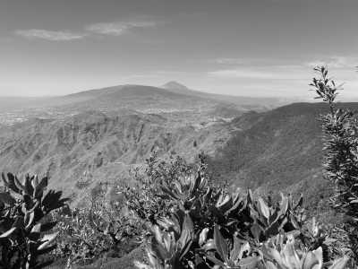 Spanien - Anaga - One week Island Life 🌴 Eco Whale Watching, volcanic terrain, pass by banana plantations 🍌, crystal clear water and beautiful nature walks! - 4