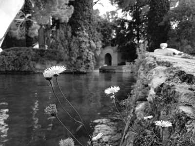 Italy - Salò - Trekking througth Gardone Riviera town in North Italy 📍  beautiful lakeside setting and picturesque villages 🏞️ - 3