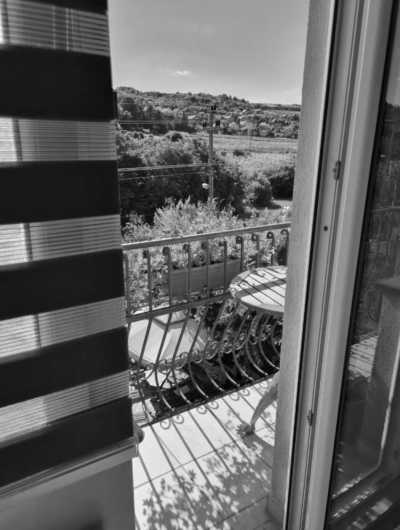 Serbien - Novi Sad - 𝐃𝐢𝐬𝐜𝐨𝐯𝐞𝐫 𝐒𝐞𝐫𝐛𝐢𝐚: 𝐄𝐱𝐢𝐭 𝐅𝐞𝐬𝐭𝐢𝐯𝐚𝐥 𝐔𝐧𝐥𝐞𝐚𝐬𝐡𝐞𝐝 🇷🇸🎶🙋🏼‍♂️🙋🏽‍♀️🙋🏻🙋🏿‍♀️🙋🏽‍♂️🙋🏼‍♀️ - 4