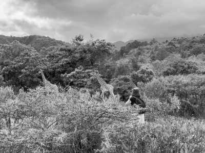 Tanzania - Arusha-Nationalpark - Tanzania Safari Trip - Rhinos, Lions & Elephants are waiting! - 3