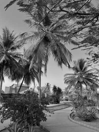 Senegal - Toubab Dialao - Senegal's Summer in Winter: Explore The Culture and Excitement in West Africa - 1