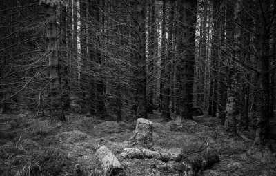 Vereinigtes Königreich - Milngavie - Walk the West Highland Way - Scotlands most iconic hiking trail