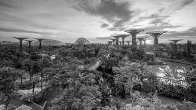 Singapore - Garden By The Bay - Chinese Garden - 𝗠𝗮𝗷𝗲𝘀𝘁𝗶𝗰 𝗦𝗶𝗻𝗴𝗮𝗽𝗼𝗿𝗲: 𝗔𝗻 𝗨𝗻𝗳𝗼𝗿𝗴𝗲𝘁𝘁𝗮𝗯𝗹𝗲 𝗝𝗼𝘂𝗿𝗻𝗲𝘆 𝗧𝗵𝗿𝗼𝘂𝗴𝗵 𝘁𝗵𝗲 𝗚𝗮𝗿𝗱𝗲𝗻 𝗖𝗶𝘁𝘆 🇸🇬⛲️🏝 - 1