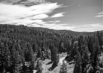 Westeuropa - Forbach - The Ultimate Black Forest, Germany Trip, Baiersbronn, Strasbourg - 3