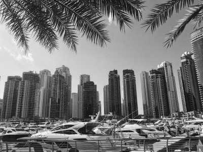 United Arab Emirates - Dubai - UAE Adventure: 4-Day Small-Group Tour of Dubai. Authentic Exploration of Nature, Desert and Culture.