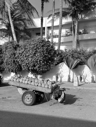 Senegal - Dakar - Senegal's Summer in Winter: Explore The Culture and Excitement in West Africa - 8