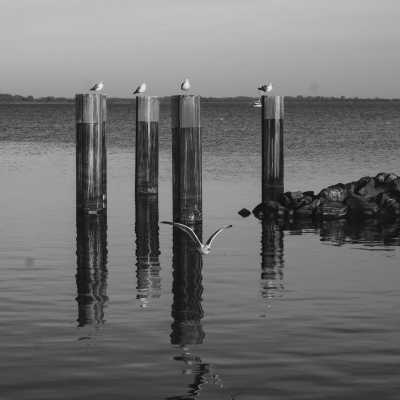 Europa - Marina Minde - Segelurlaub auf der Ostsee ⛵ Entdecke die Deutsch-Dänische Ostseeküste