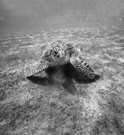 Indonesien - Amed Beach - 7-DAYS Exploring Hidden Gems in Bali, Indonesia - 3