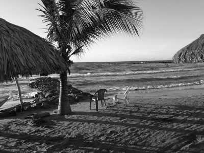 Colombia - Ciénaga La Caimanera - Experience the Paradise of Colombia's Caribbean Coast on a Remarkable 30-Day Working Trip: Tolú, Playa El Francés, Coveñas, Isla Palma, Ciénaga la Caimanera and Cistapá Cay - 2