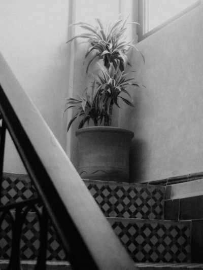 Morocco - Tamraght - Dive into the thrill of surfing, yoga, and delicious food, all while discovering the captivating beauty of the landscapes around Taghazout🏄 - 13