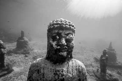 Indonesia - Penida Island - 𝗔𝗻𝘀𝘄𝗲𝗿 𝗕𝗮𝗹𝗶'𝘀 𝗖𝗮𝗹𝗹: 𝗬𝗼𝘂𝗿 𝗧𝗶𝗰𝗸𝗲𝘁 𝘁𝗼 𝘁𝗵𝗲 𝗘𝘅𝗼𝘁𝗶𝗰 𝗛𝗲𝗮𝗿𝘁 𝗼𝗳 𝗜𝗻𝗱𝗼𝗻𝗲𝘀𝗶𝗮! 🇮🇩🦜🎒 - 1