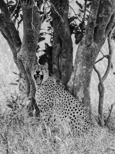 Südliches Afrika - Kruger National Park - Mystery South Africa Adventure and Culture Camping Trip - 7