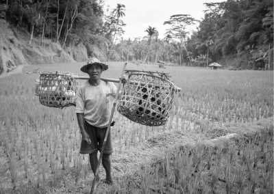 Indonesien - Ubud - Travel to Bali, Indonesia | 10 Days of Surfing, Snorkelling and Exploring - 2