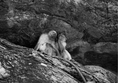 India - Badami - Heritage Havens Expedition in India: Unveiling Hampi, Badami and Bijapur - 2