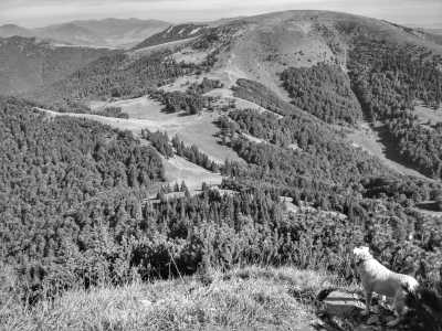 Slowakei - Chata pod Borišovom - Wilderness and Tranquility: Hiking Adventure in Great Fatra National Park in Slovakia - 3