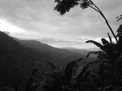 Colombia - Pueblo Bello - Colombia Guided Trip: Nabusimake,  Sierra Nevada de Santa Marta Trekking in a Coffe Finca of a Mamo Elois - 9