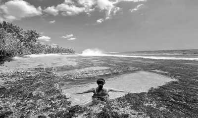 Sri Lanka - Kandy - Rainforest & Wildlife Adventure, and a Trip to Remember - Sri Lanka - 2