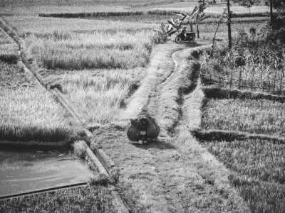 Vietnam - Mai Châu - Active Adventure in North Vietnam (motorbike, hike, and cycle) - 2