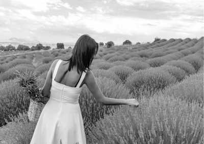 Türkei - Kuyucak - Weekend Lavender Tour to Isparta, Transport with Car, Stay in Pension all in Turkey