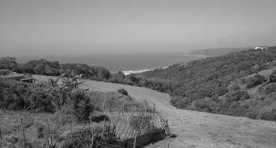 Südafrika - Albertinia - 🌞Ultimate 10-Day South Africa Road Trip🇿🇦Cape Town & The Garden Route – 🌊Adventure, Nature & Epic Vibes! - 9