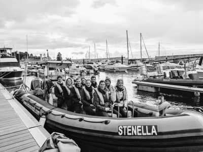 Portugal - Madeira Islands - CoLiving & CoWorking im Paradies Madeira: 4800 qm2 Palmengarten, eigener Schreibtisch, Gym, Game Room, ... - 1