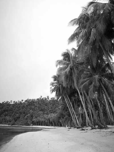 Philippines - Port Barton - El Nido: Beaches, Island Hopping, Snorkeling, Surfing & UNESCO sites | All in the Philippines - 1