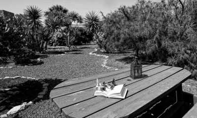 Spain - Triquivijate - LAST SPOT AVAILABLE!!! Workation in a wonderful villa - Your home office in the inspiring Fuerteventura! 🌊👩‍💻 - 2